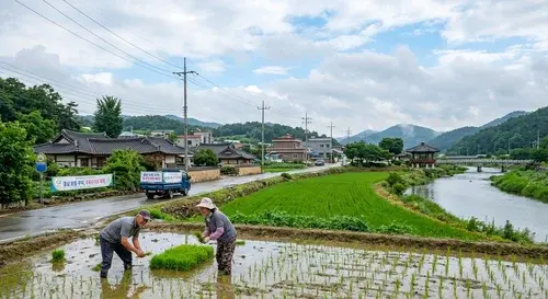 보령 부여 기상 상황