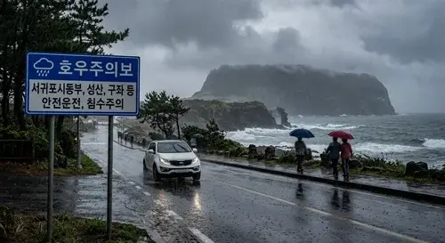 제주도 비 내리는 풍경