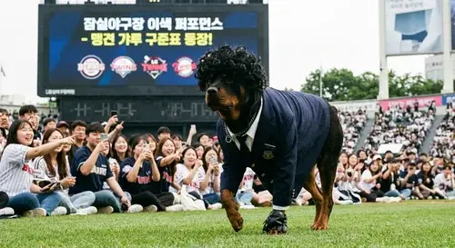 잠실야구장 메인 이미지